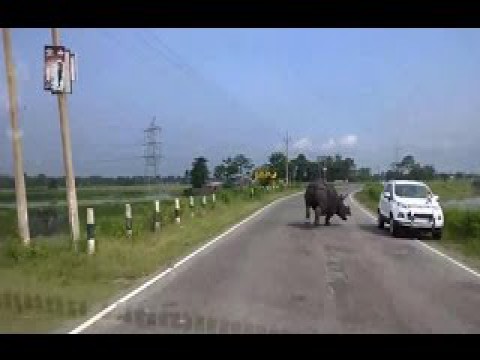 Половина индийского хайвея вспомнила, что забыла выключить дома утюг