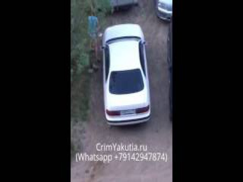 Приступы полной безнадеги с улицы Кальвица