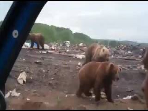 Заглянем на свалку в Ивашке