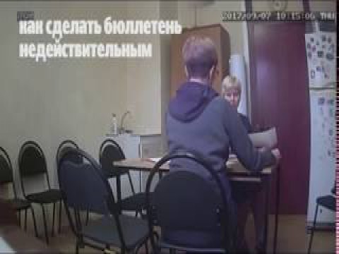 Выборы, выборы,  кандидаты - ...