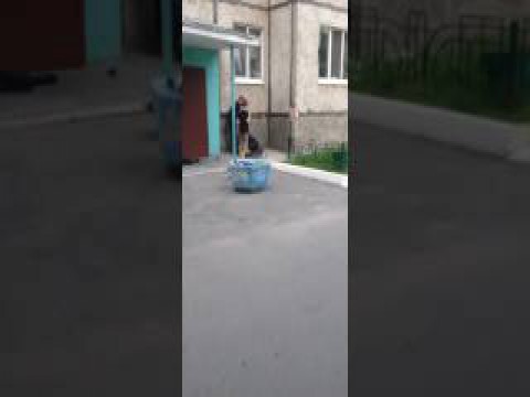 "Вася, расскажи, в чем дело?" (с) 