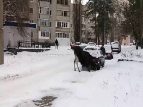 Скажем СТОП наркотикам, друзья!